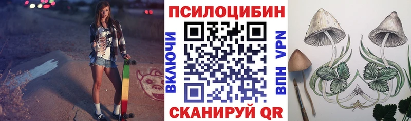 Псилоцибиновые грибы Psilocybe  Бирюч 